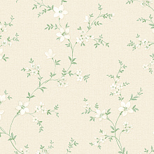 Обои с рисунком Alessandro Allori Bruni 1001-1 RBN