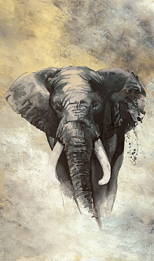 Фотообои слон Marburg Okan 33098