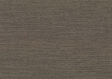 Коричневые обои для стен AltaGamma Fibers 1VZ 25864