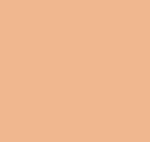 Детские оранжевые обои Loymina Materials Lotus LOT1, 126