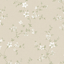 Обои с рисунком Alessandro Allori Bruni 1001-2 RBN